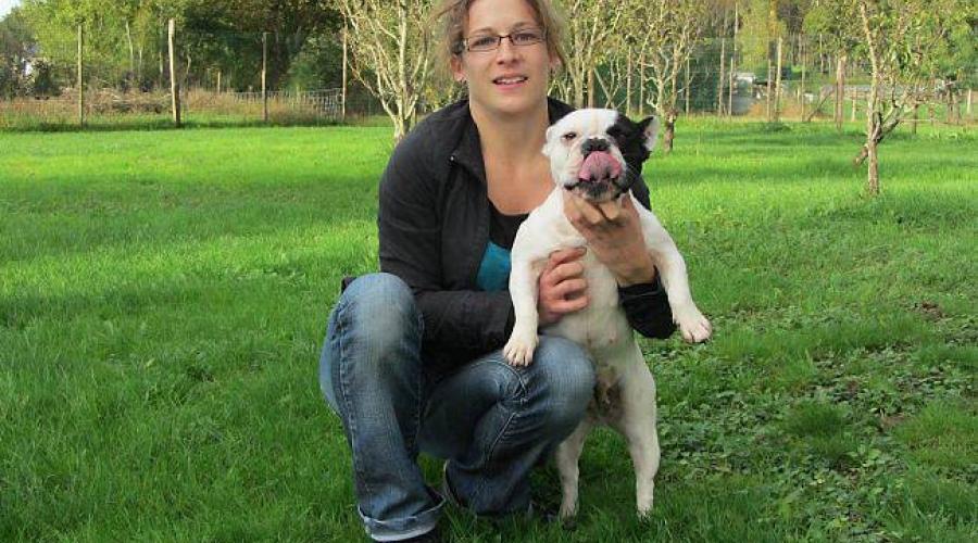 garde chien 01200