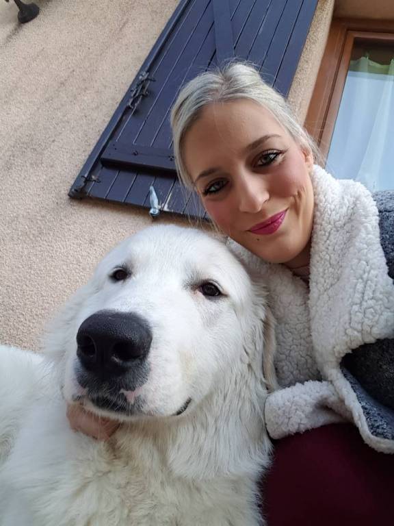 garde chien 01200