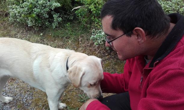 garde chien 44310