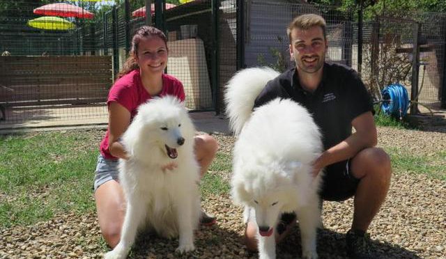 garde chien 45