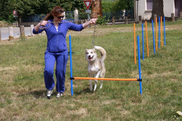 garde chien 89100