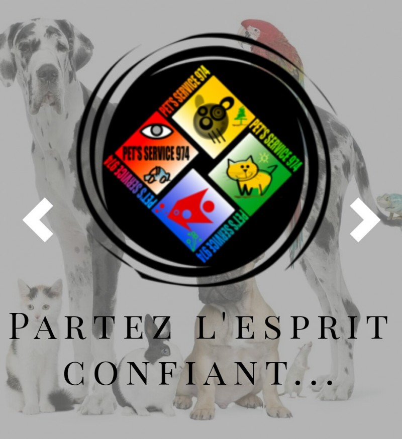 garde chien 97410