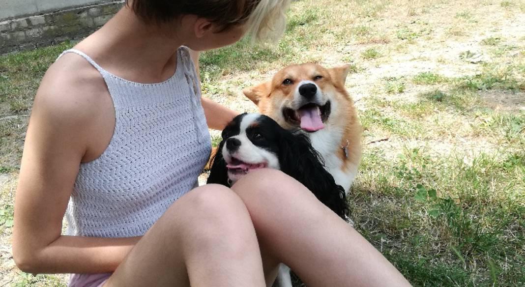 garde chien kremlin bicetre