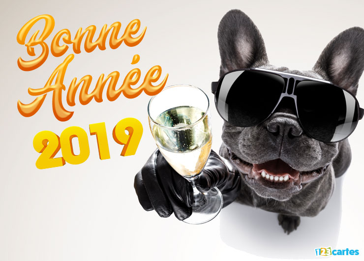 garde chien lille