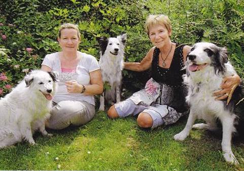 garde chien lille