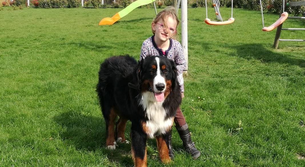 garde chien loiret