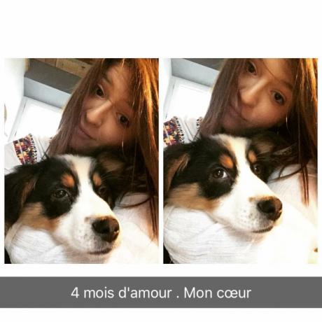 garde chien loiret