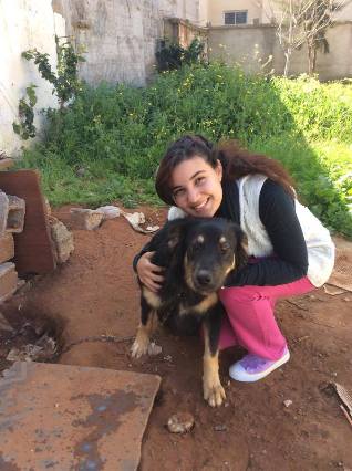 garde chien rabat