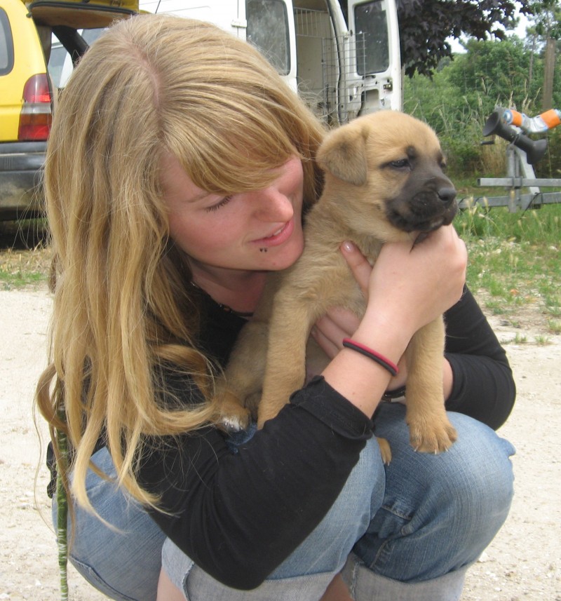 garde chien rochefort