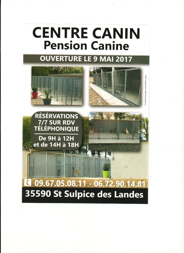 pension chien 31600