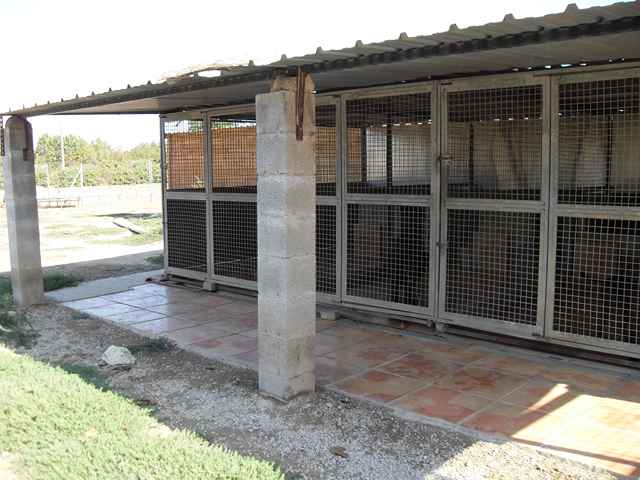 pension chien 38