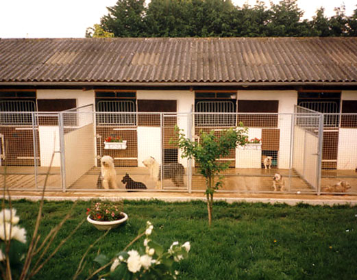 pension chien 38