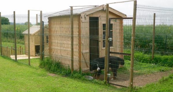 pension chien 38