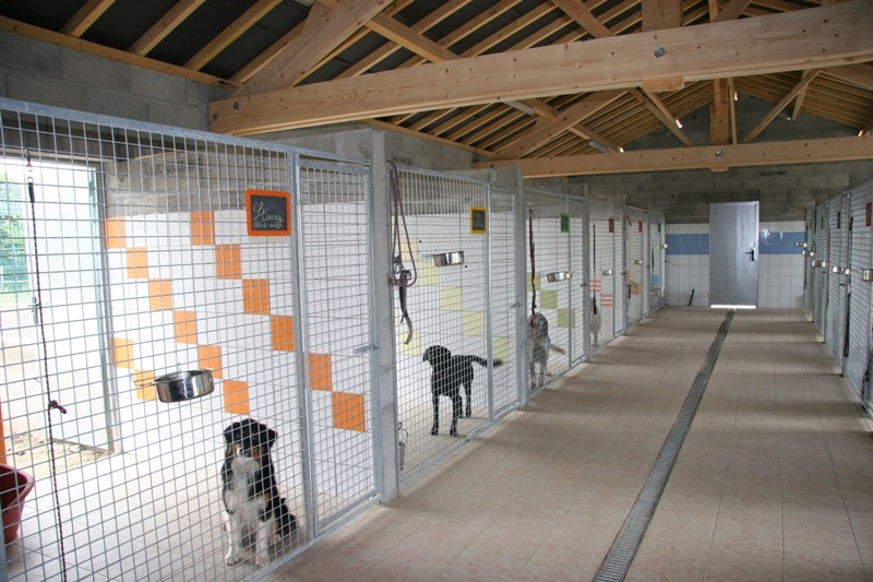 pension chien 38
