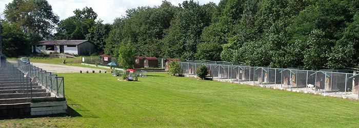 pension chien 38