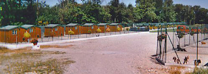 pension chien 38