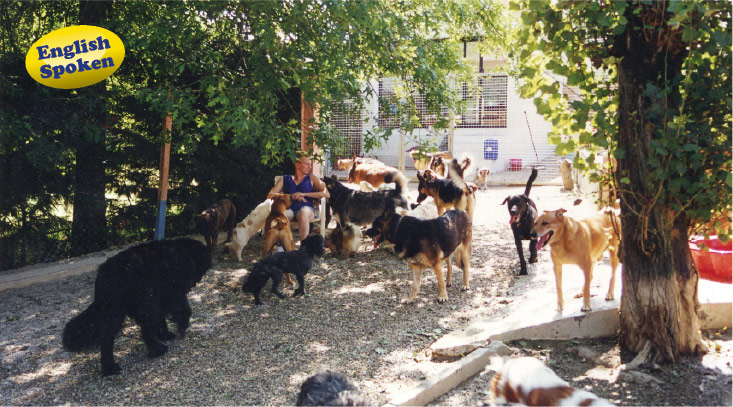 pension chien 47500