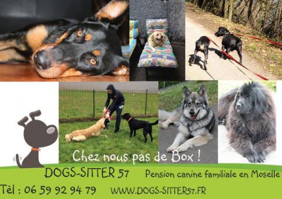 pension chien 47500