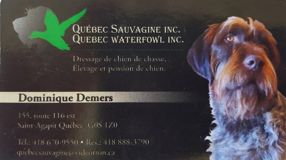 pension chien a quebec