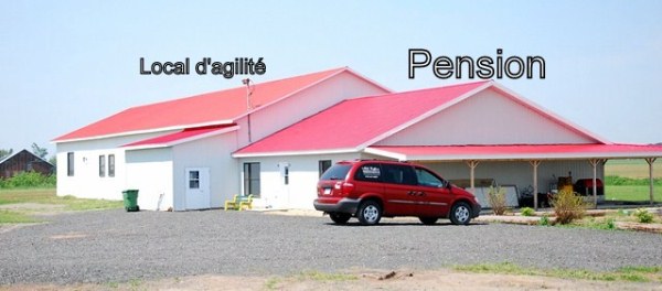 pension chien a quebec