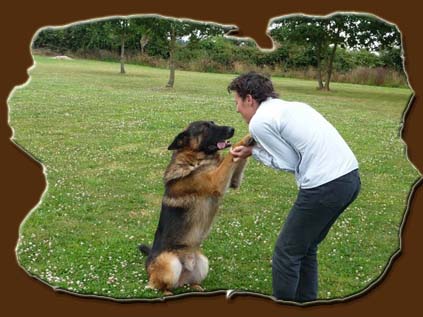 pension chien dans l'eure