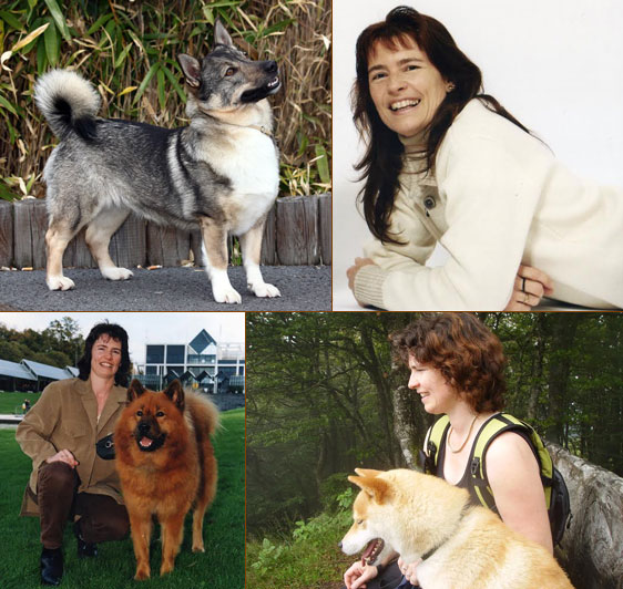 pension chien dans l'eure