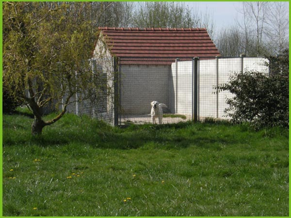pension chien dans le lot