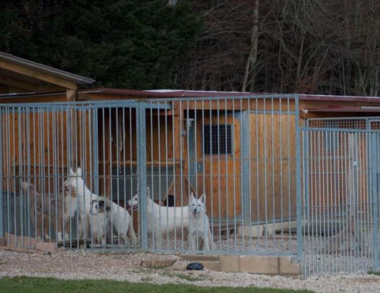 pension chien doubs