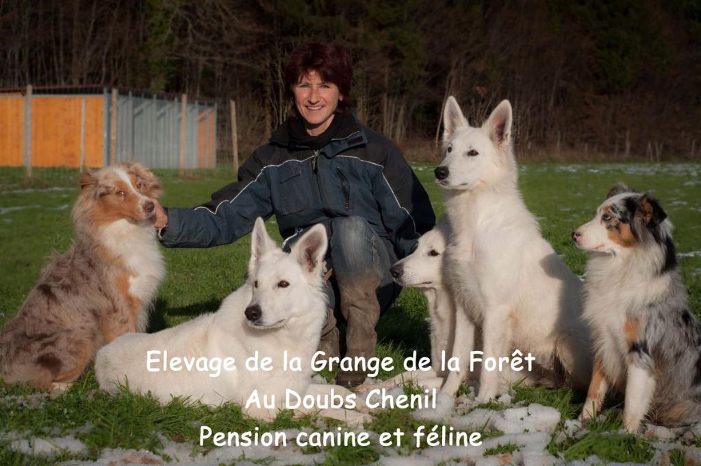 pension chien doubs