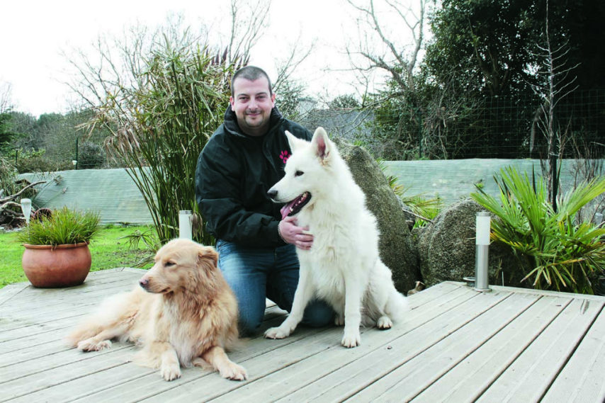pension chien finistere