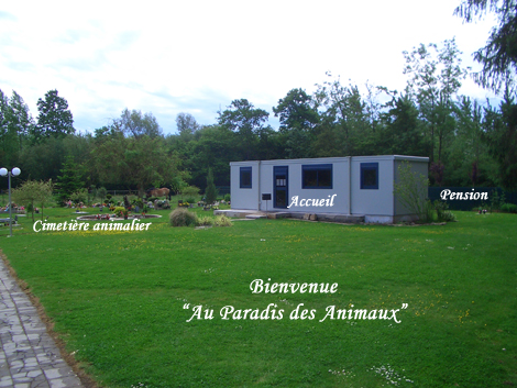 pension chien forest sur marque