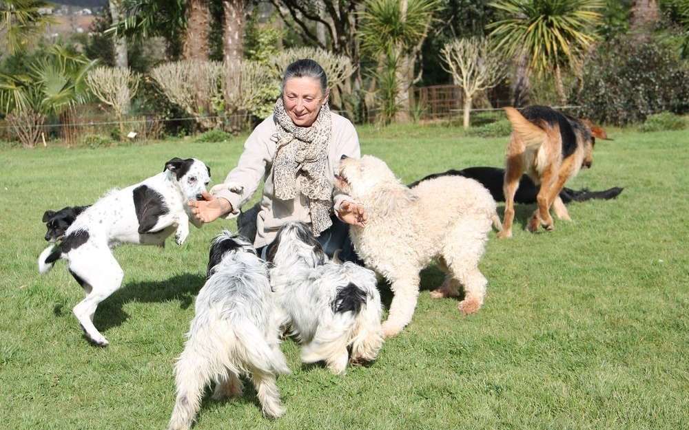 pension chien gan