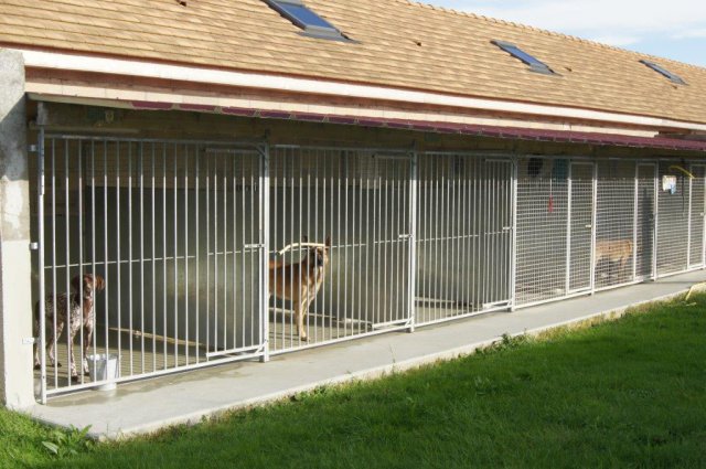 pension chien guibeville