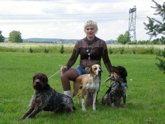 pension chien guibeville