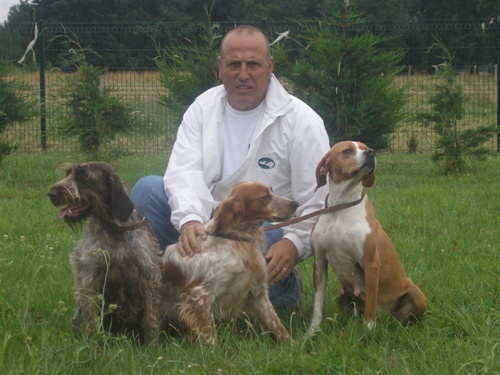 pension chien guibeville