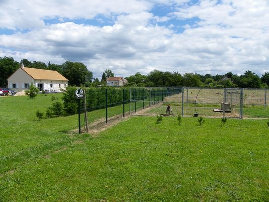 pension chien guibeville