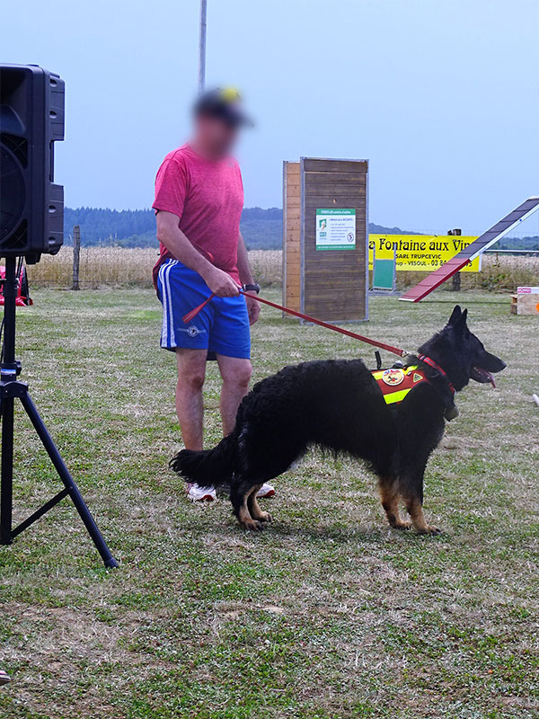 pension chien haute saone