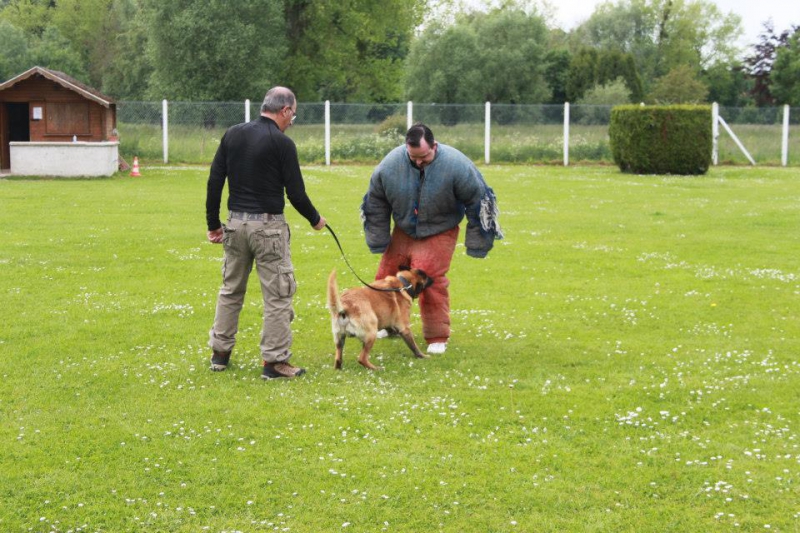 pension chien heudreville sur eure