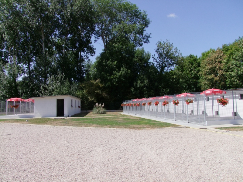pension chien heudreville sur eure