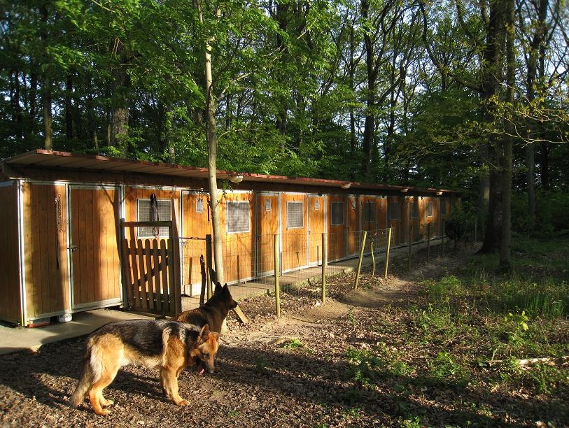 pension chien ille et vilaine