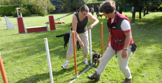 pension chien jouy le potier
