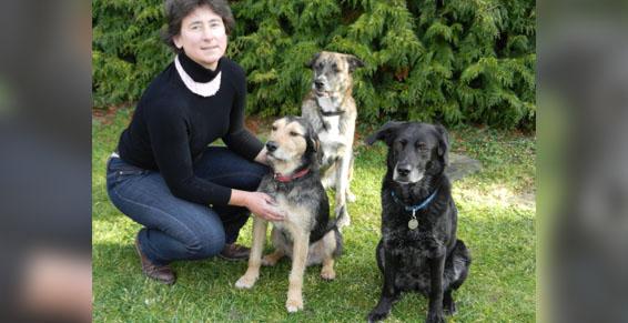 pension chien jouy le potier