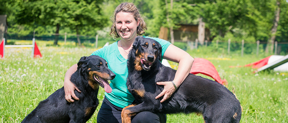 pension chien marne