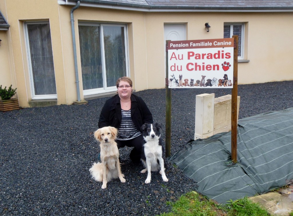 pension chien meaux