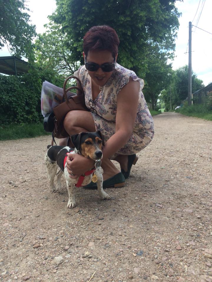 pension chien nevers