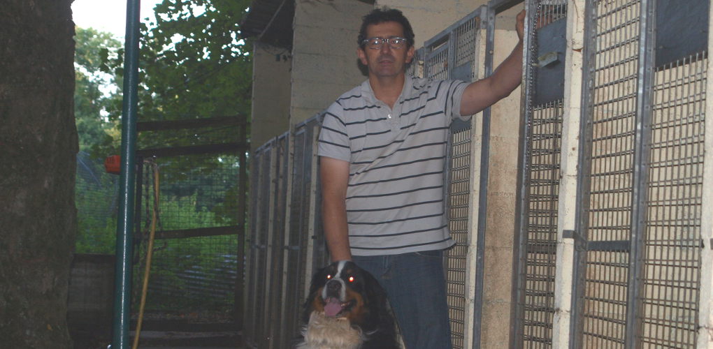 pension chien nevers