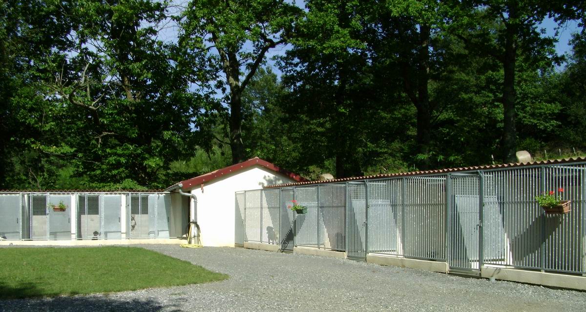 pension chien pau