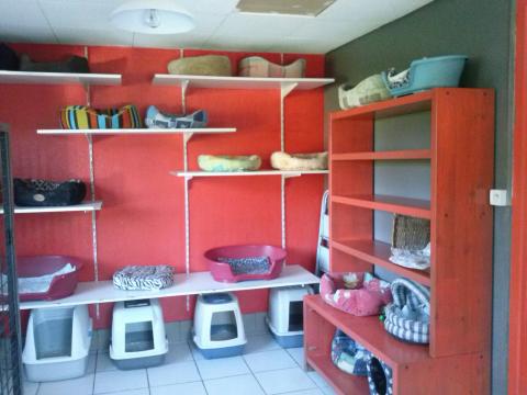pension chien quevreville la poterie