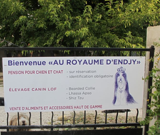 pension chien rochegude