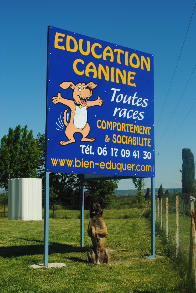 pension chien rochegude